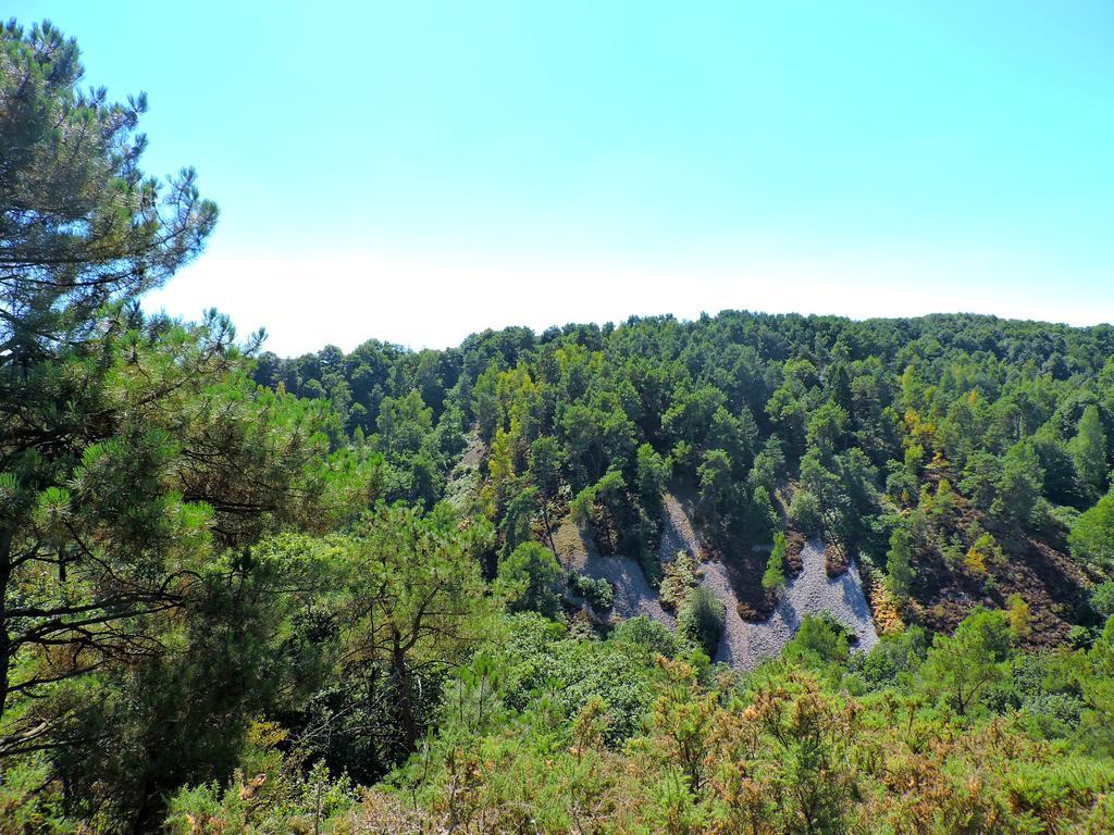 Gite Le Bourgneuf Fresnay-sur-Sarthe Exterior foto